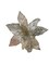 Champagne Glittered Poinsettia Christmas Flower Stem Spray 13'' Set of 3